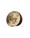 CAMELEON WHEEL 8424