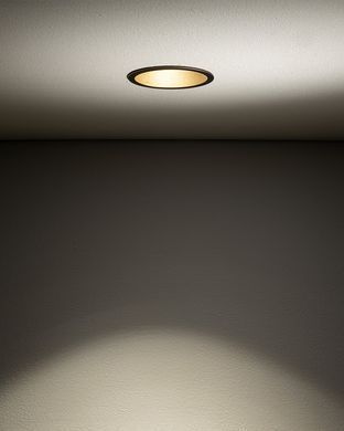 CUP 10790