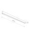 OUTLINE 11362