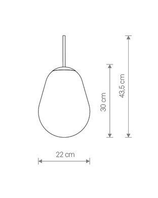 CAMELEON PEAR 8534