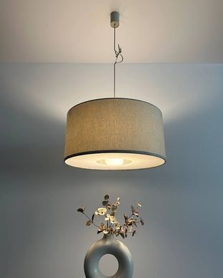 CEDRO 11665