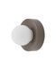 CLAY 11750