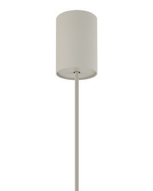 CEDRO 11666