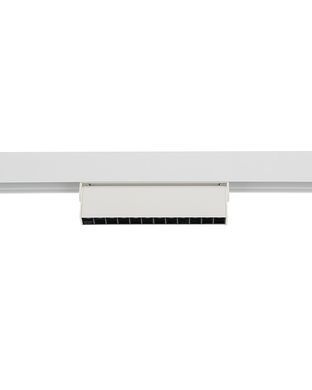 LVM 11634