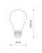 VINTAGE LED BULB 10596