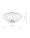 CAMELEON PUMPKIN 12044