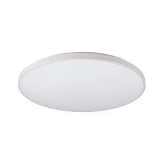 10981 Світильник Nowodvorski Agnes Round LED PRO WHITE 64W 3000K