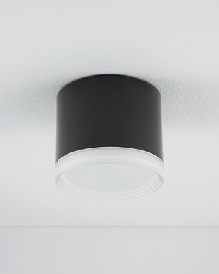 SILBA 10477