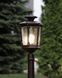 AMUR 4694